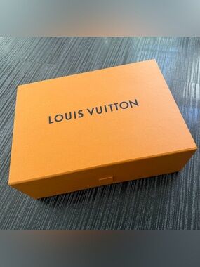 Louis Vuitton Authentic Handbag Empty box